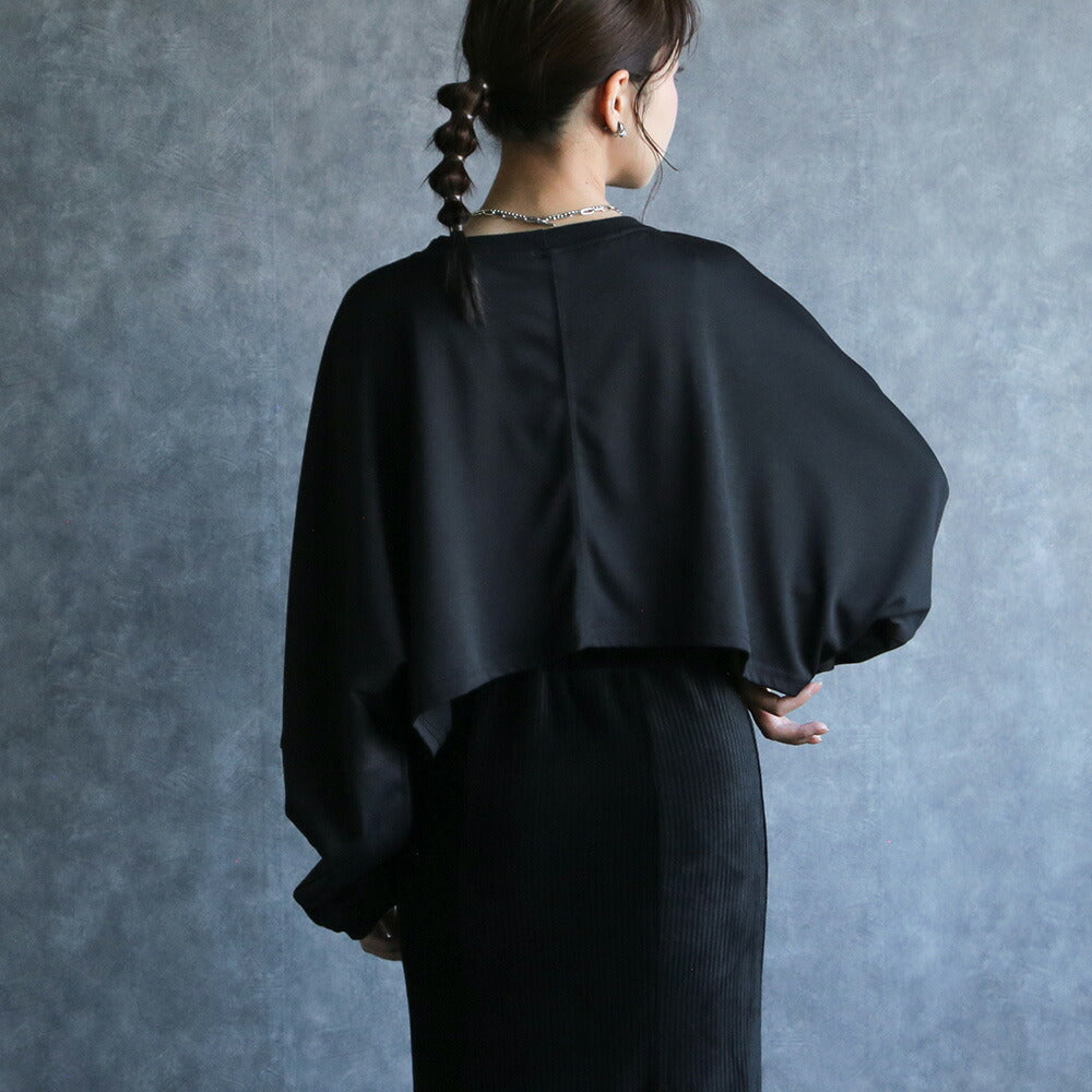 330080 クロップドビッグロンT